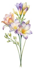 Fototapeta premium Watercolor bouquet of soft flowers on a stem - A delicate watercolor illustration of a mixed bouquet with soft pink, purple, and white flowers on a thin green stem.