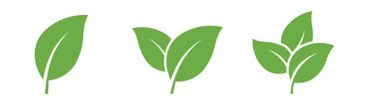 Green eco friendly leaf vector icons set isolated on white background representing nature sustainability environment organic business branding elements logo graphics