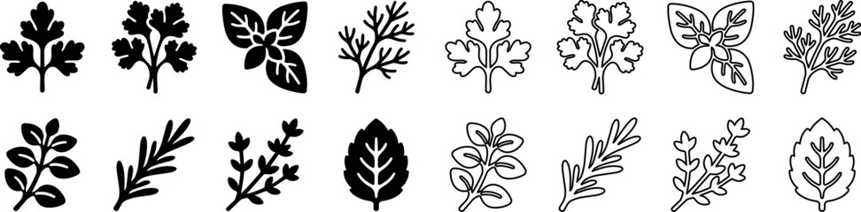 Set of kitchen herb leaves icons featuring parsley, basil, cilantro, rosemary, and thyme in solid and outline styles © vadymstock