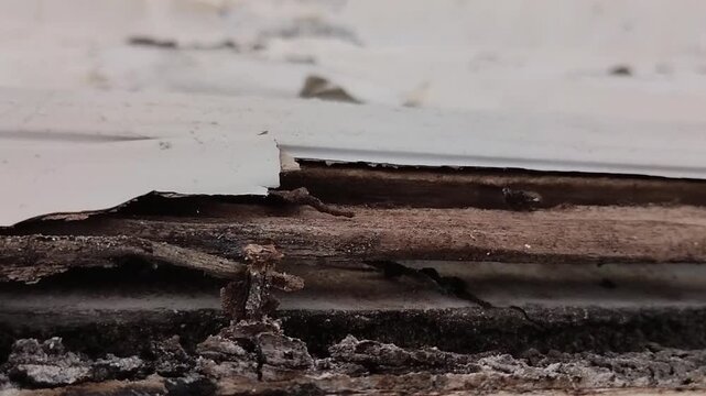 damaged and decayed wood caused by termite infestation