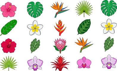 Seamless Exotic Pattern Elements Collection Featuring Hibiscus Orchids Monstera and Fan Palm Leaves for Tropical Textile and Summer Fashion Prints Vector Illustration © amzad