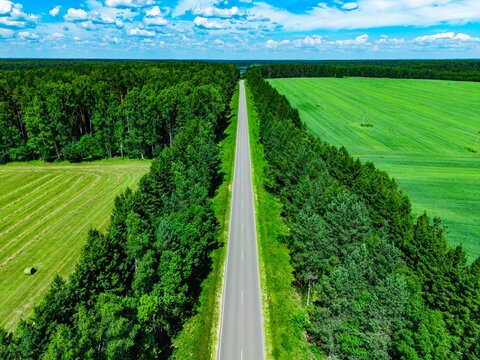 Asphalt road bisecting lush green fields and dense forest under a bright blue sky