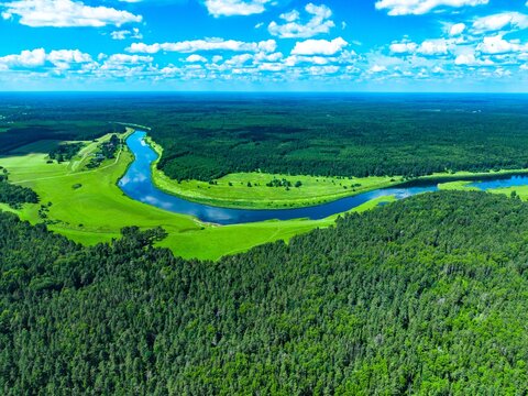Riverbank with lush green trees and vibrant blue waters under a clear sunny sky with clouds