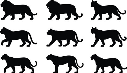 Obraz premium Nine black silhouette lion graphics wildlife predator collection