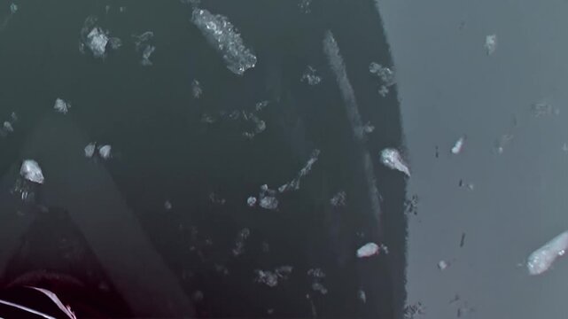 Fragments of ancient ice shimmer and dance on the deep blue waters of the Arctic Ocean. A ship's powerful presence navigates the frozen expanse, revealing nature's cold beauty.