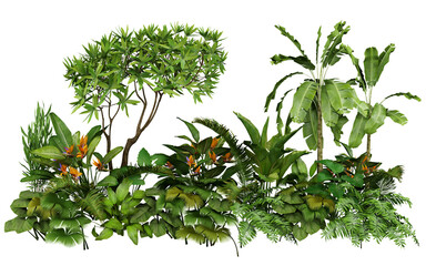 Tropical Plant Collection Isolated PNG, Mixed Tropical Plant Border, Transparent Background © An
