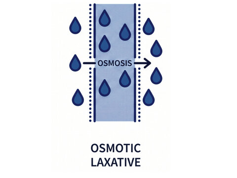 Osmotic laxative mechanism shows water molecules crossing a semipermeable membrane via osmosis to hydrate the intestine and assist in the relief of chronic constipation through medical visualization.