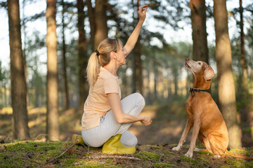 Fototapeta premium Positive woman pet owner providing obedience training for beloved Vizsla dog outdoors in summer forest, active female hiker teaching pet new commands and giving treats, devoting time to domestic dog.