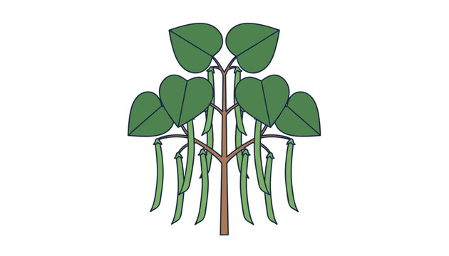 Detailed garden bean plant vector illustration showing hanging green pods and heart shaped leaves on a brown stem.