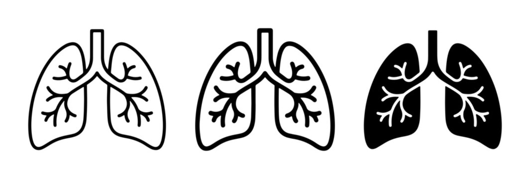 Set of three lung icons: outline, filled outline, and solid black, representing respiratory health and medical concepts.