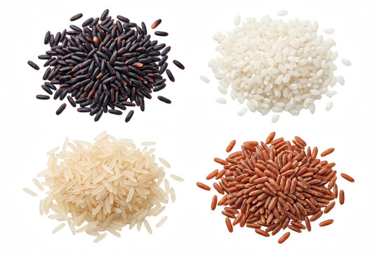 Assorted Varieties of Uncooked Rice Grains Including Red White Jasmine and Forbidden Rice