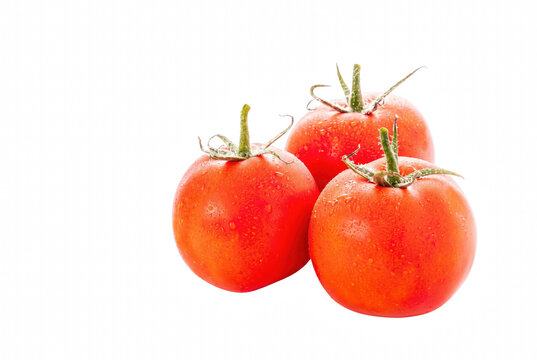 Three Fresh Red Tomatoes with Water Droplets