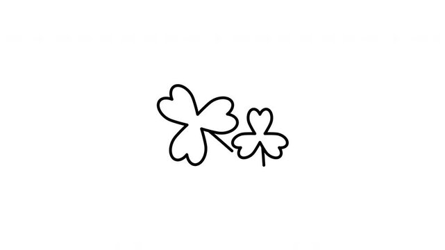 Minimalist outline animation of a traditional triple three-leaf clover shamrock cluster drawing on and fading out. Features a clean pop up style in 3 color setups.