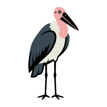 Stylized vector illustration of a marabou stork bird with pink head and long legs isolated on white background