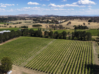 Obraz premium Aerial View of Lush Green Vineyards and Rural Landscape in Canberra