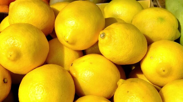 Fresh ripe lemons displayed at local farmers market under bright summer sunlight, vibrant yellow citrus fruit, healthy seasonal produce for cooking, drinks and everyday nutrition