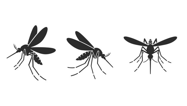 Dark black silhouettes of a dangerous mosquito pest depicted in landing, flying, and top-down scientific angles.