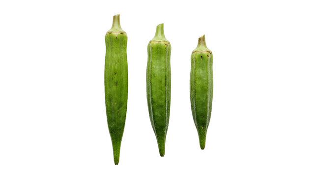 Fresh okra pods isolated on transparent background three green okra vegetables arranged vertically, showing natural texture and shape