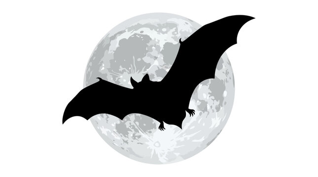 Halloween, moon, black bat, vector, full moon, night, spooky, illustration