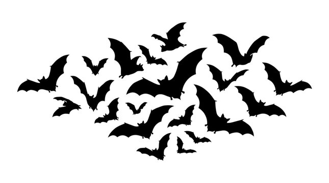 Black bats flying, bat silhouettes, flying bats, Halloween icons, vector graphics