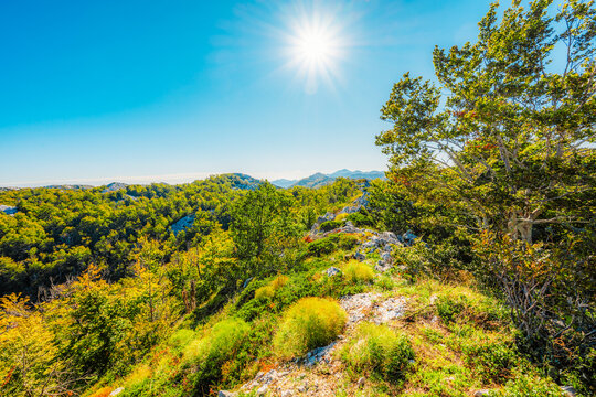 Rugged karst landscape of Biokovo Nature Park with white limestone rocks and sparse mediterranean vegetation, Dalmatia, Croatia.