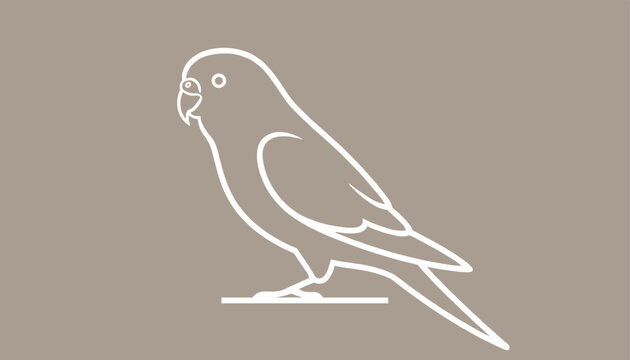 Beautiful minimalist white line drawing of a cute budgerigar parakeet bird perched calmly on warm brown background.