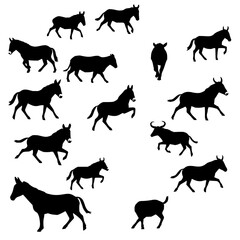 Fototapeta premium Equine set with twelve black silhouette illustrations arranged in a grid pattern featuring donkeys, mules, bulls with dynamic poses and minimalist vector style