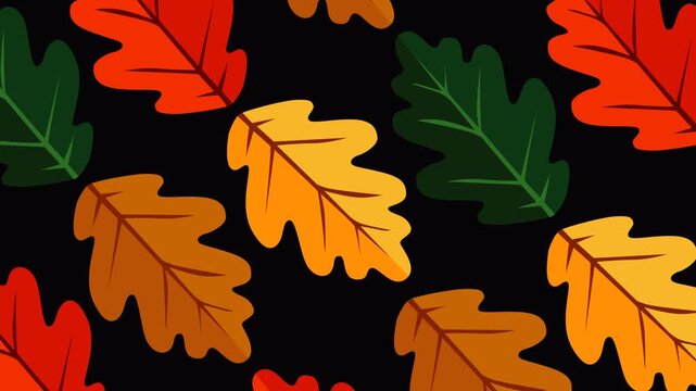 Seamless autumn oak leaf pattern featuring red, yellow, green, and brown foliage on a black background. Ideal for seasonal themes, nature presentations, festive backdrops, and looping footage