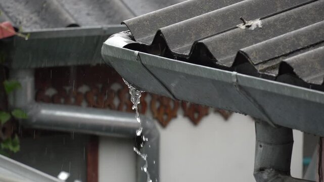 Clogged broken rain gutter, dirty roof gutter, with wet fallen leaves.
