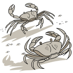 Fototapeta premium Two grey crabs on a sandy beach surface, illustrated in a flat style with simple shadows, isolated on a white background