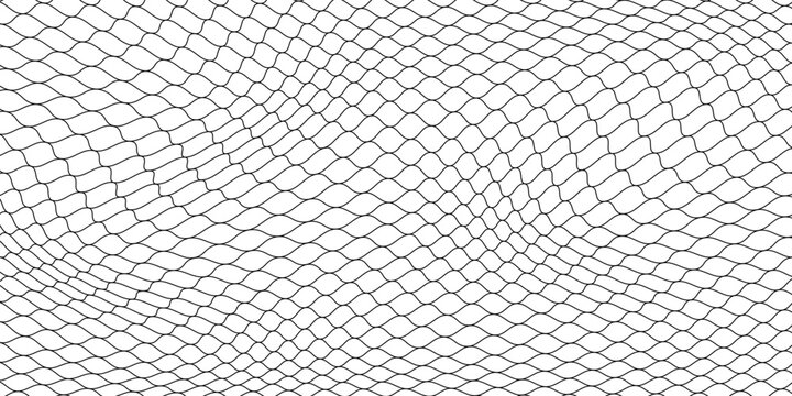 Black snake skin pattern isolated on white background eps 10