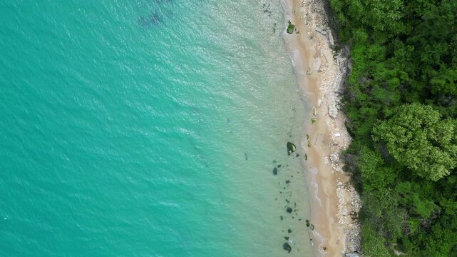 Top Down Aerial View of Turquoise Sea, Rocky Sandy Beach and Forest