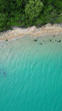 Top Down Aerial View of Turquoise Sea, Rocky Sandy Beach and Forest