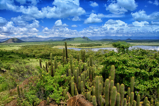 Kenya, Rift Valley Province, view to Lake Naivasha