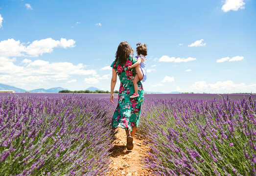 France, Provence, Valensole plateau, Mother and daughter walking among lavender fields in the summer