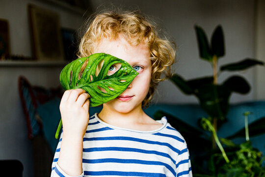 Blond boy with blue eyes looking through leaf at home