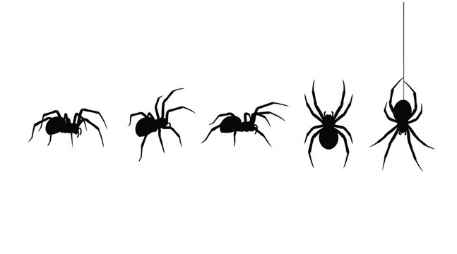 Set of black spider silhouettes in different poses