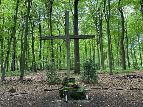 Ruheforst