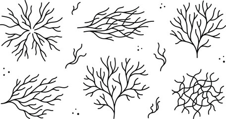 Underwater Seaweed and Coral Reef Line Icon Set Featuring Marine Algae Kelp Floating Tendrils and Aquatic Plant Botanical Clusters for Ocean Life Designs © Yousuf