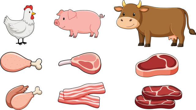 Cute cartoon collection of farm animals including a chicken, pig, and cow with various raw meat cuts and steaks
