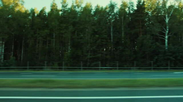 Moving view from vehicle window showing highway road surface with white lines, green median strip, and dense forest of tall trees with motion blur from speed creating a sense of travel and speed