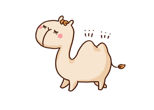 Bactrian camel with two fine humps on its back, desert animal or wildlife ecology concept