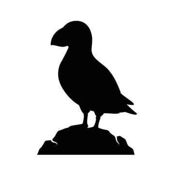 Puffin silhouette, black bird icon, animal symbol, wildlife graphic isolated on White Background