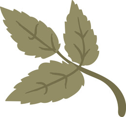 Mint Leaf Trio Herbal Emblem © Mykola Syvak