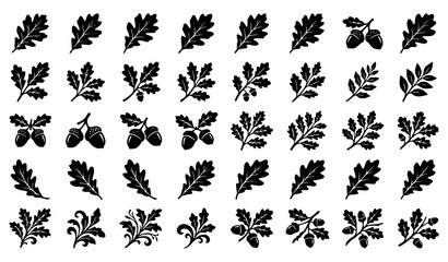 Fototapeta premium Autumn Oak Leaves and Acorns Silhouette Vector Bundle with Botanical Forest Elements