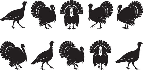Collection of turkeys in various poses and movements  black silhouettes © Nusrat