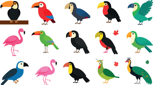 Cute tropical birds cartoon vector icon set featuring colorful toucans flamingo parrot and peacock standing isolated on white background, flat graphic design elements for kids zoo themes.