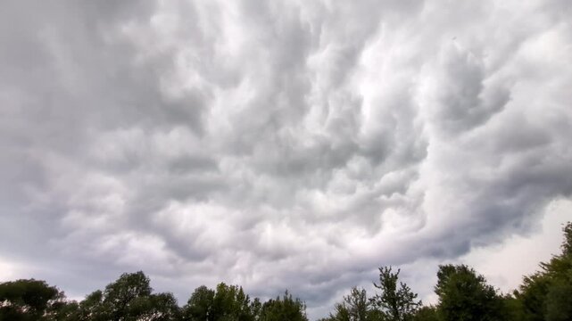 Dramatic cloud formation during day, dark ominous clouds swirl overhead above green trees, intense weather phenomenon in natural outdoor environment, stormy sky over forest.
