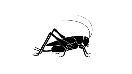 Black and white detailed illustration of a jumping grasshopper insect Vector © MDFOYSAL