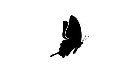 Butterfly silhouette on transparent background © Mehrun
